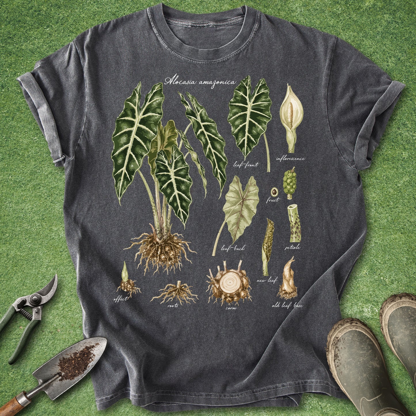 Pepper colored t-shirt featuring a vintage botanical illustration of Alocasia Amazonica with labeled leaves, roots, corm, flower, fruit, and plant anatomy on a scientific botanical chart.