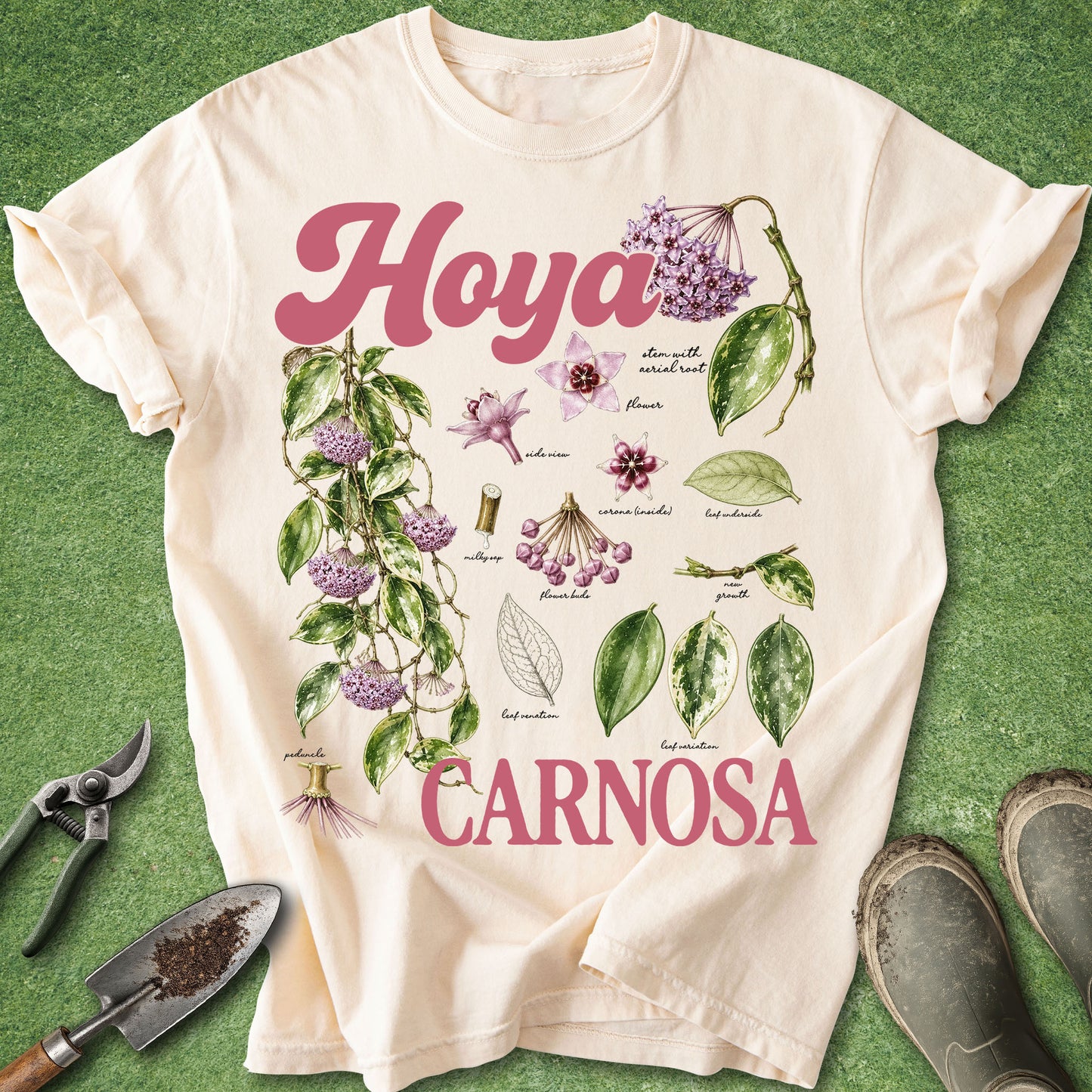 Ivory t-shirt featuring a detailed botanical illustration chart of Hoya Carnosa with pink flowers, variegated leaves, labeled plant anatomy, and the text "Hoya Carnosa".