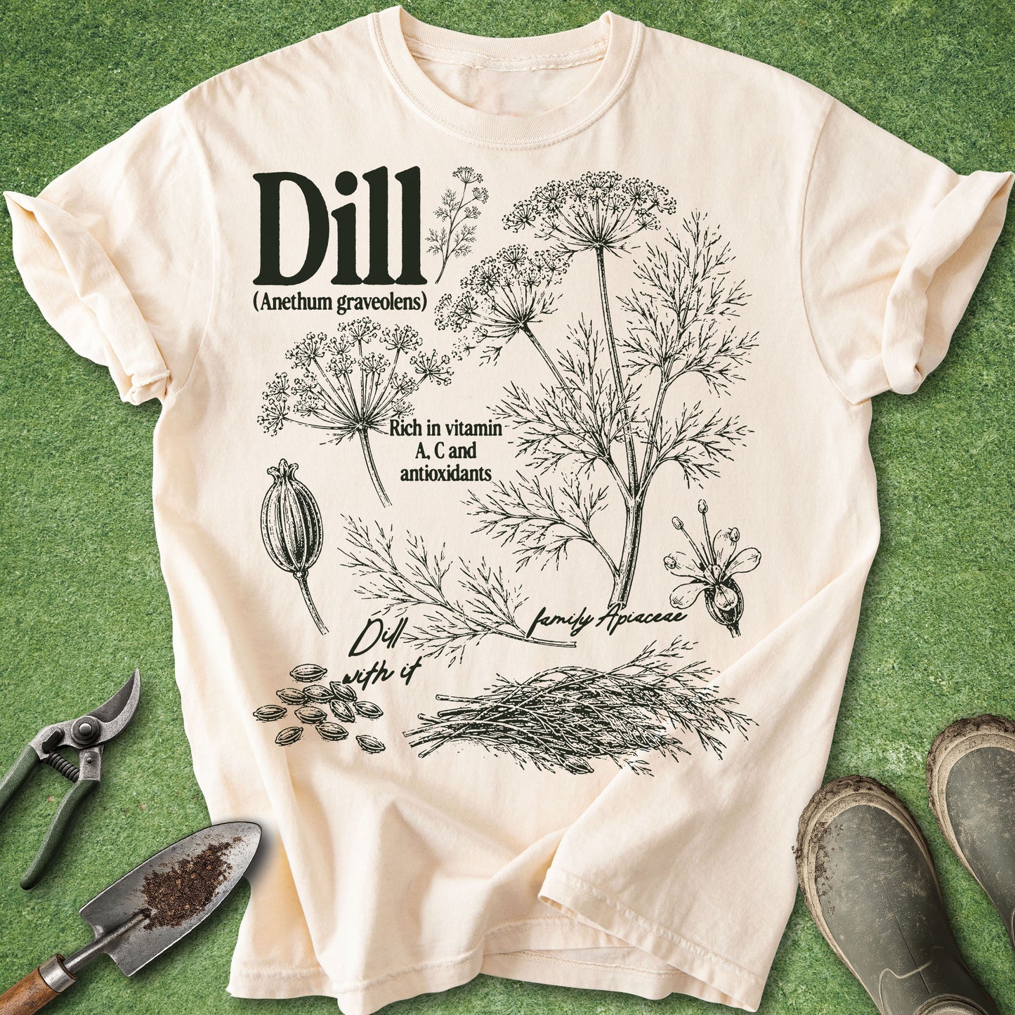 Ivory Comfort Colors t-shirt featuring vintage botanical illustrations of dill plants, dill flowers, seeds, and foliage with educational botanical details.