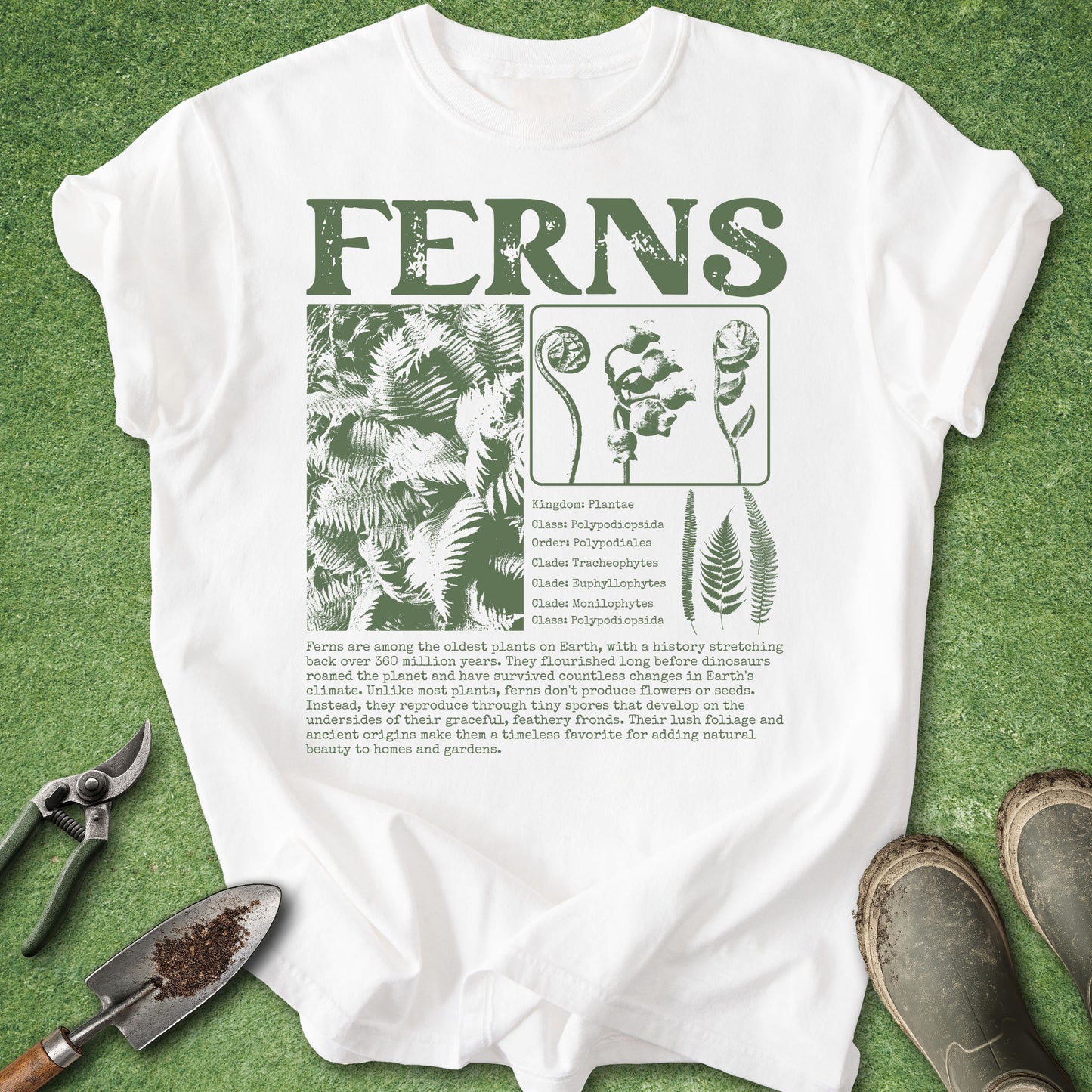 White Comfort Colors t-shirt featuring a vintage botanical fern study with scientific classification, fern fronds, fiddleheads, and green botanical illustrations under the title "FERNS."