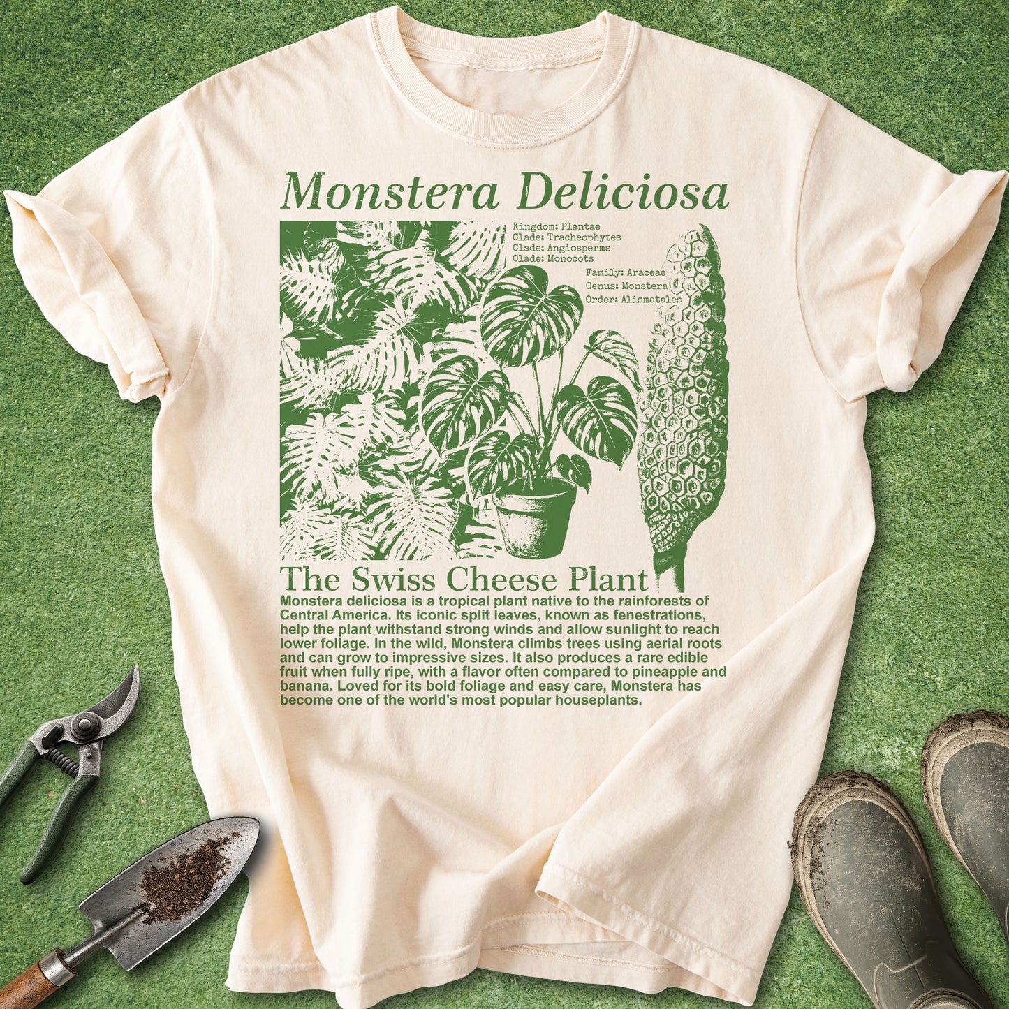 Ivory t-shirt featuring a vintage botanical infographic of Monstera deliciosa with green illustrations of split leaves, a potted monstera, its fruit, scientific classification, and educational plant facts.