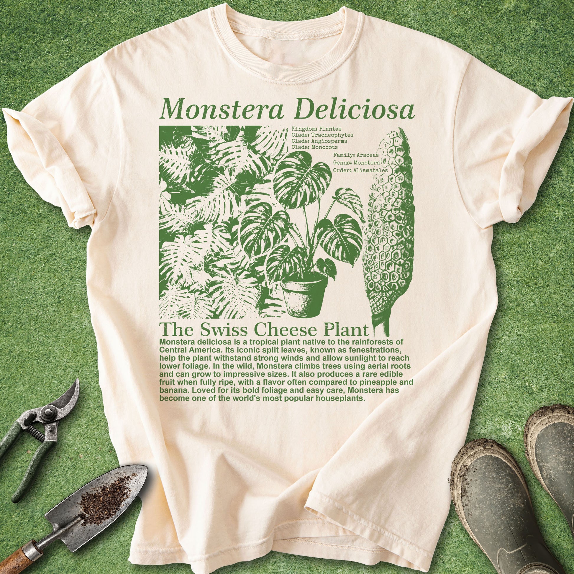 Ivory t-shirt featuring a vintage botanical infographic of Monstera deliciosa with green illustrations of split leaves, a potted monstera, its fruit, scientific classification, and educational plant facts.