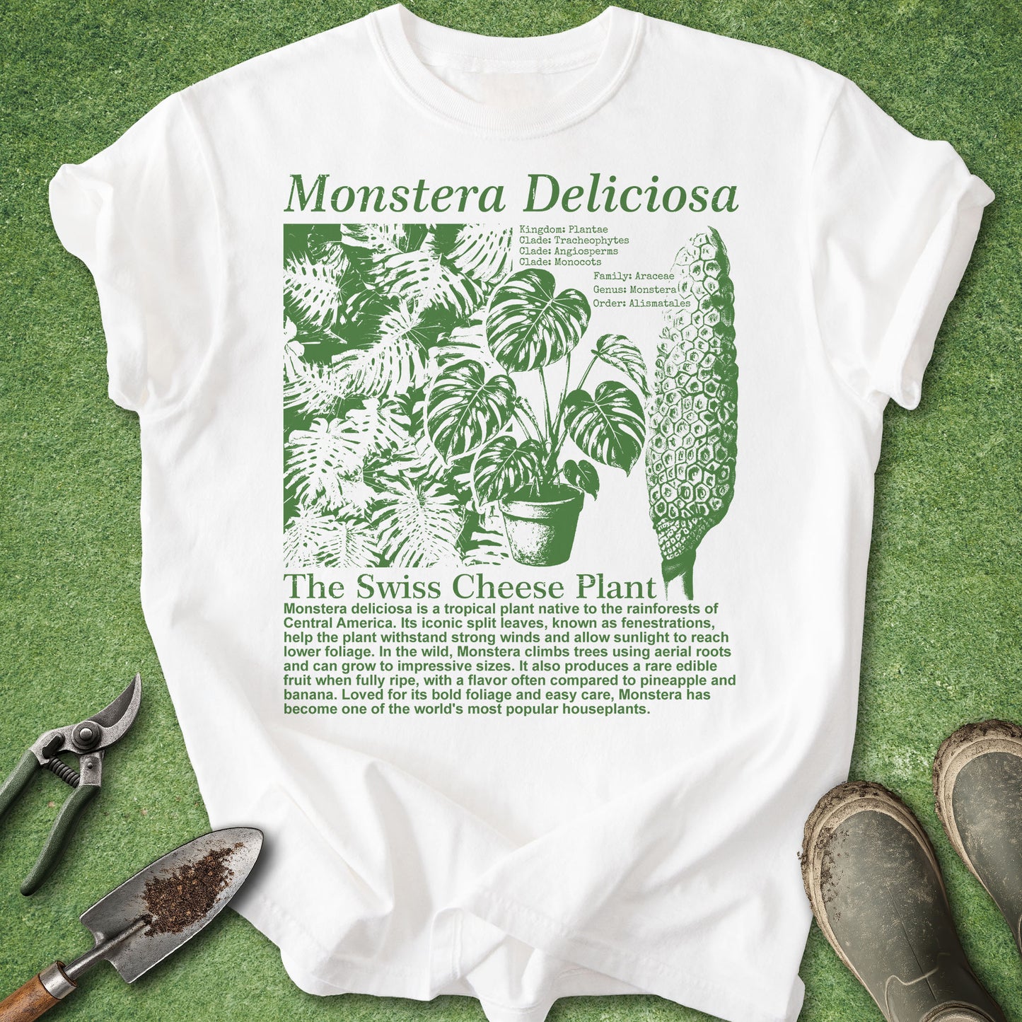 White t-shirt featuring a vintage botanical infographic of Monstera deliciosa with green illustrations of split leaves, a potted monstera, its fruit, scientific classification, and educational plant facts.