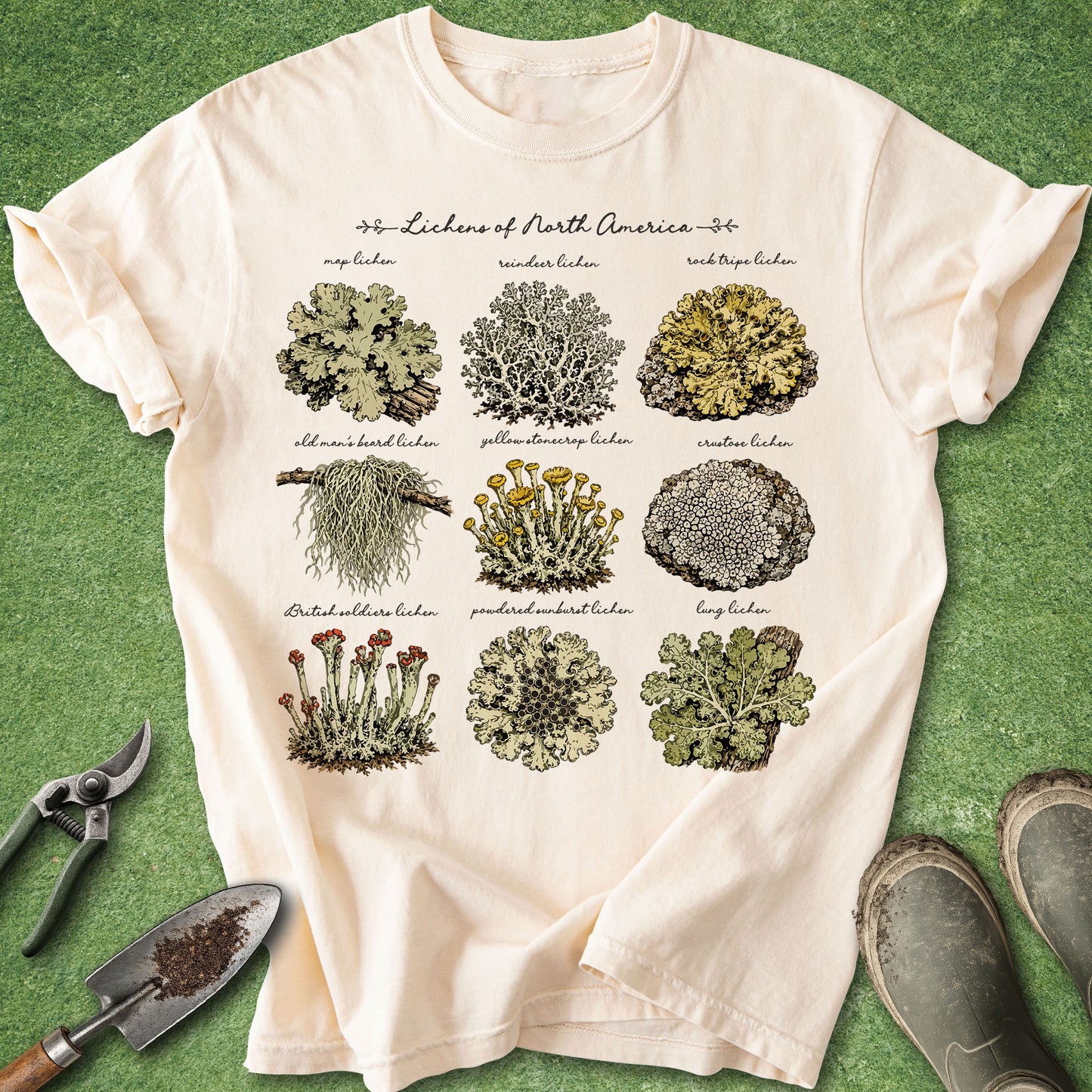 Ivory t-shirt featuring a vintage Lichens of North America botanical chart with nine illustrated lichen varieties and handwritten labels.