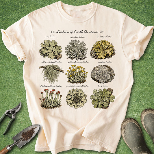 Ivory t-shirt featuring a vintage Lichens of North America botanical chart with nine illustrated lichen varieties and handwritten labels.