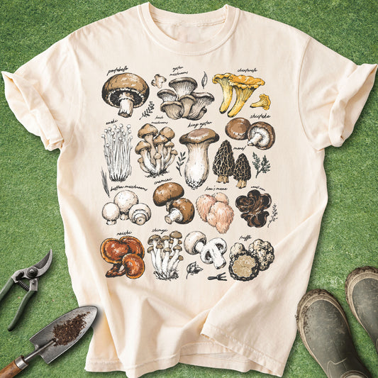 Ivory Comfort Colors t-shirt featuring a vintage botanical chart of assorted mushroom species including chanterelle, oyster, shiitake, lion's mane, morel, reishi, truffle, and button mushrooms illustrated in a natural history field guide style.