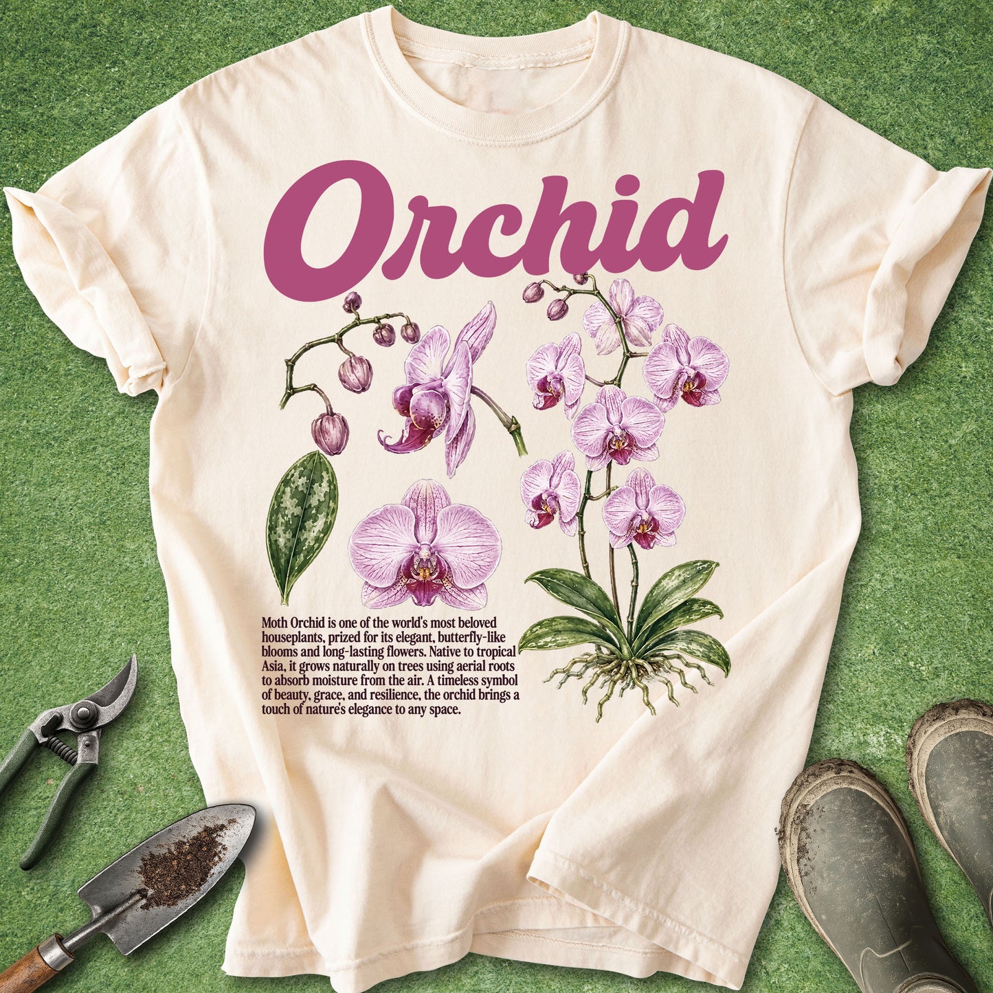 Ivory t-shirt featuring a vintage botanical illustration of a pink moth orchid with detailed flowers, buds, leaves, roots, and educational text under the title "Orchid".