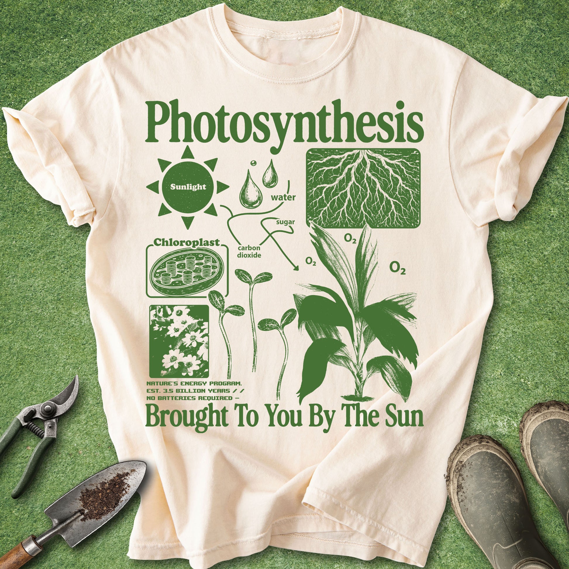 Comfort Colors ivory t-shirt featuring a green vintage-style photosynthesis infographic with sunlight, water, chloroplasts, roots, seedlings, oxygen, and the phrase "Brought To You By The Sun."