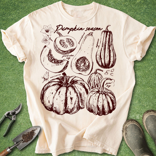 Ivory Comfort Colors t-shirt featuring vintage botanical illustrations of pumpkins, squash, pumpkin seeds, and blossoms with a pumpkin season theme arranged in a harvest-inspired garden journal design.
