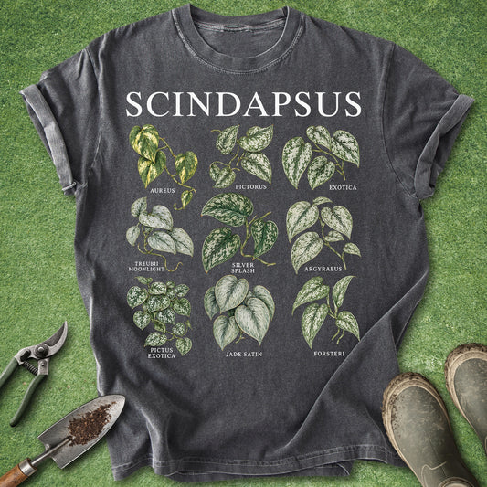 Dark gray t-shirt featuring a Scindapsus botanical chart with nine illustrated houseplant varieties, variegated green and silver leaves, and labeled plant names.