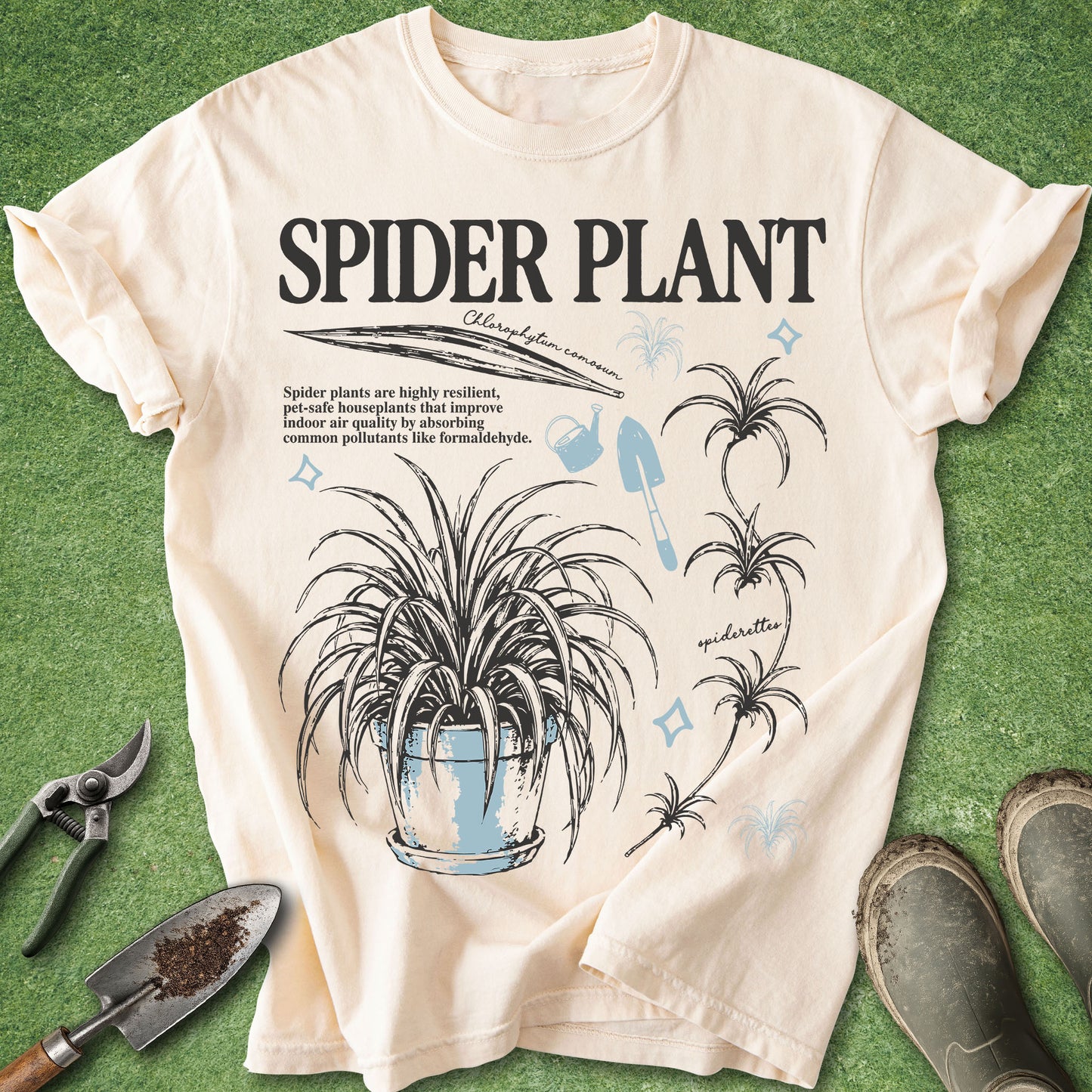 Botanical-style Spider Plant design featuring detailed illustrations of Chlorophytum comosum, spiderettes, plant care elements, and educational text for houseplant lovers and indoor gardeners.