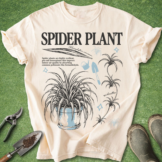 Botanical-style Spider Plant design featuring detailed illustrations of Chlorophytum comosum, spiderettes, plant care elements, and educational text for houseplant lovers and indoor gardeners.