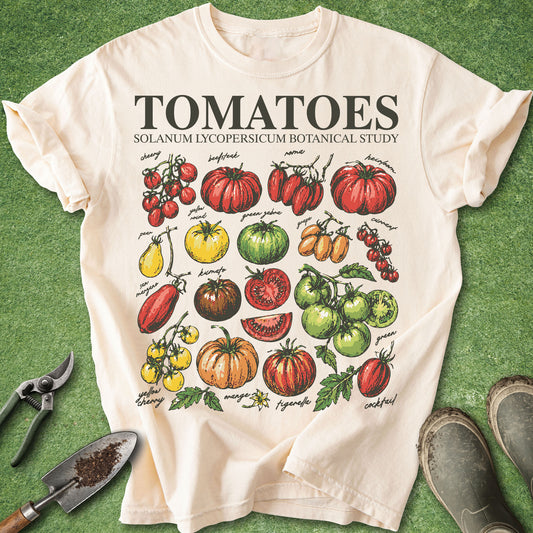 Ivory Comfort Colors t-shirt featuring a vintage botanical study of heirloom tomatoes with illustrated cherry, beefsteak, striped, green, yellow, and specialty tomato varieties arranged in a scientific poster style.